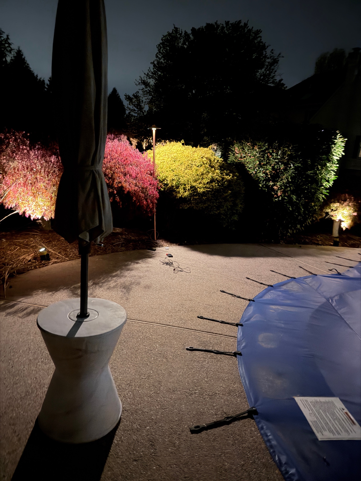 Landscape lighting placement checked during a Doylestown nighttime demo