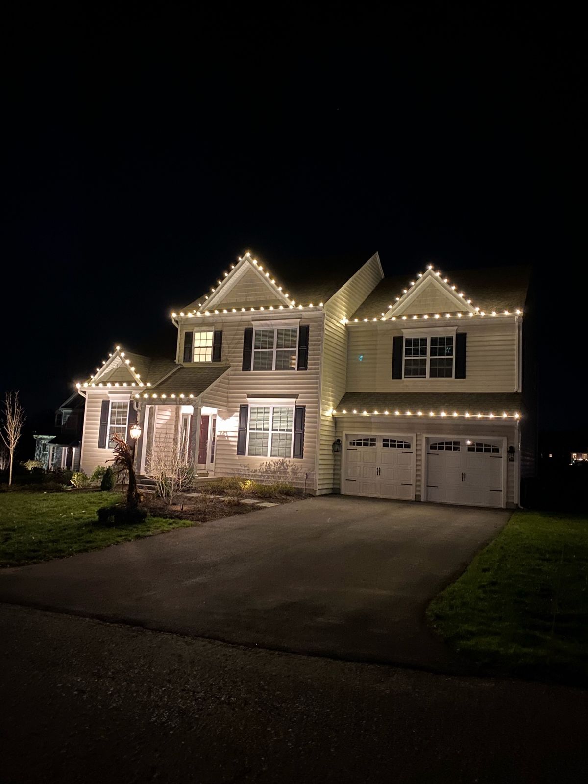 Holiday roofline lighting with tree wraps