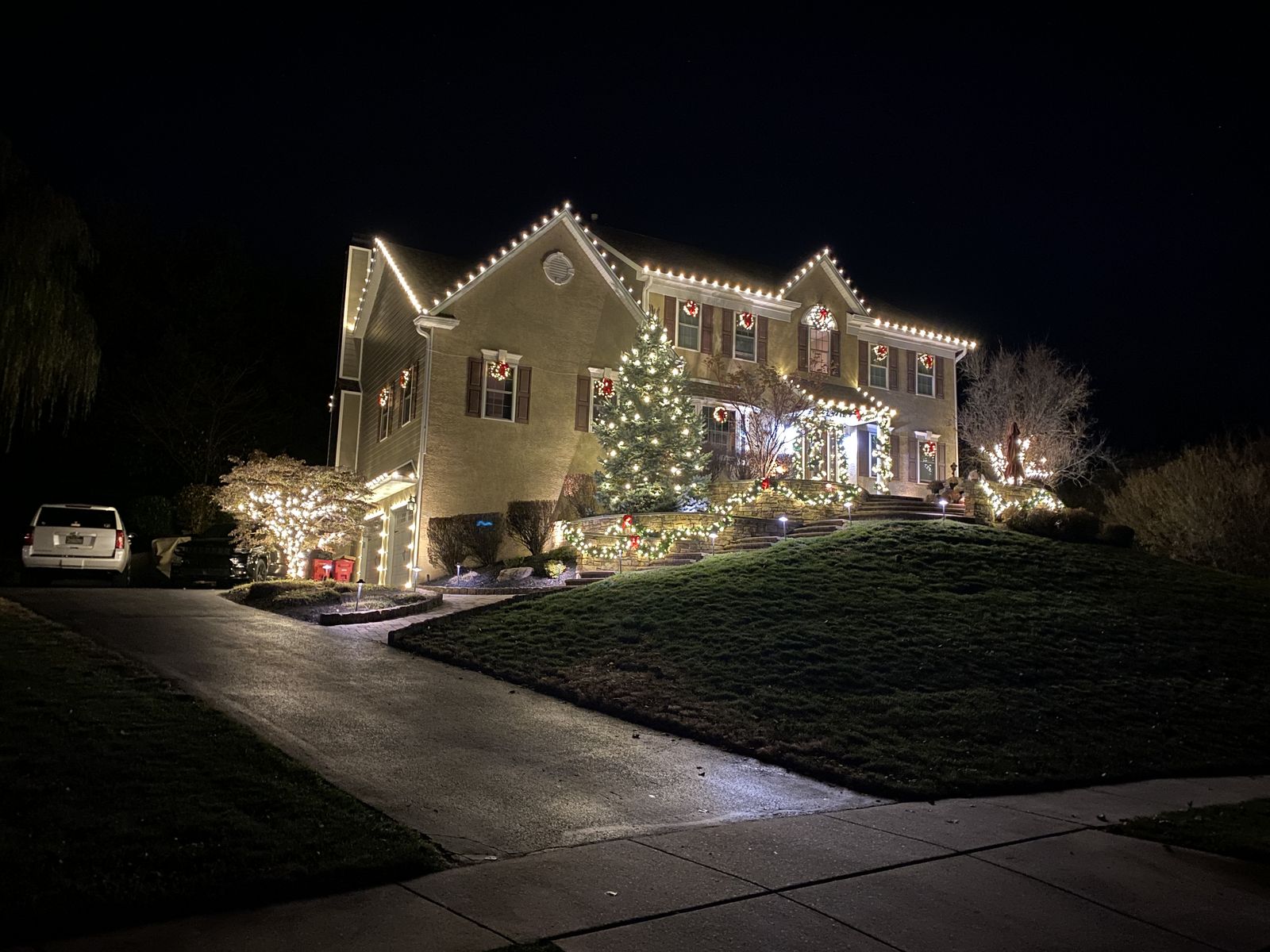 Holiday roofline and tree lighting installation