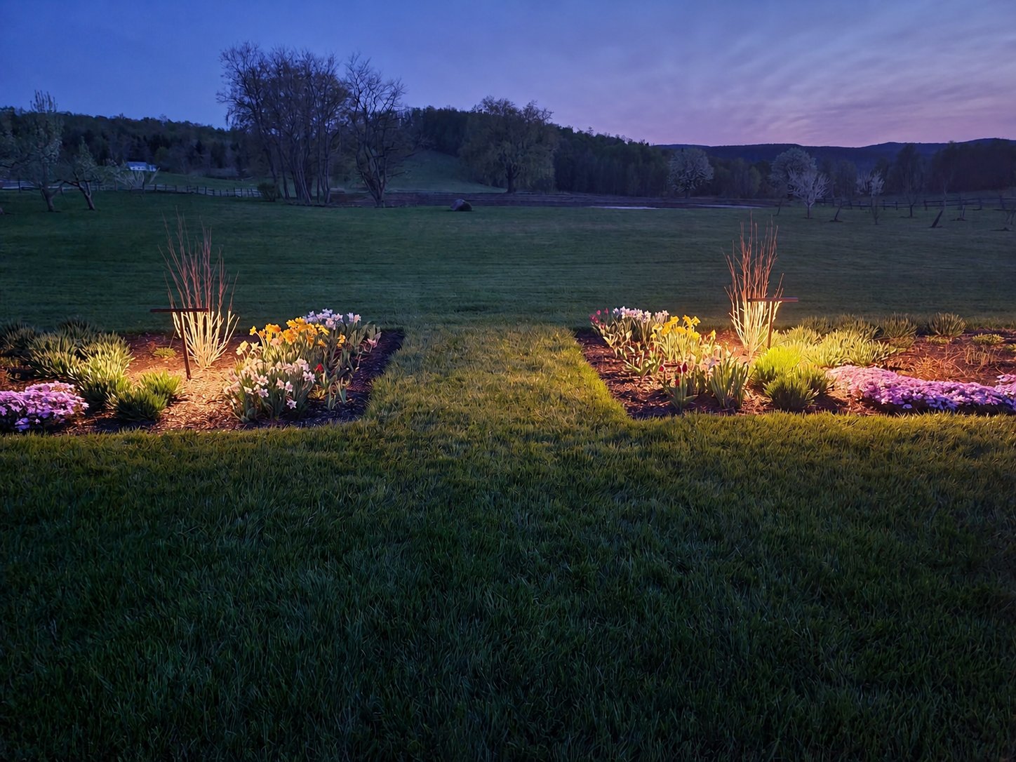 Landscape lighting on a colonial home with tree uplighting and pathway accents