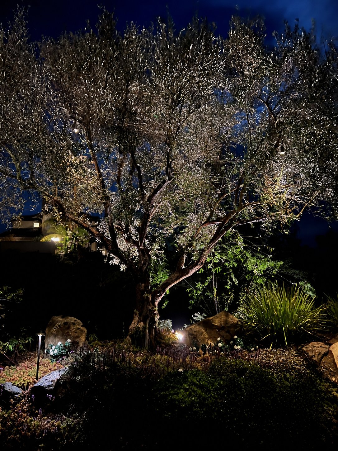 Layered landscape lighting with garden bed accents