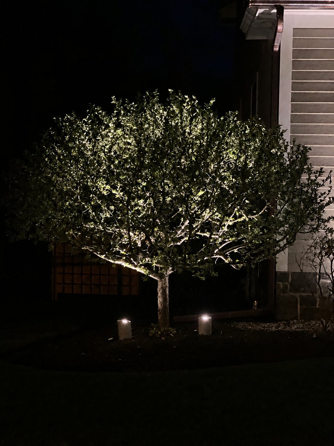 Accent lighting highlighting landscaping beds