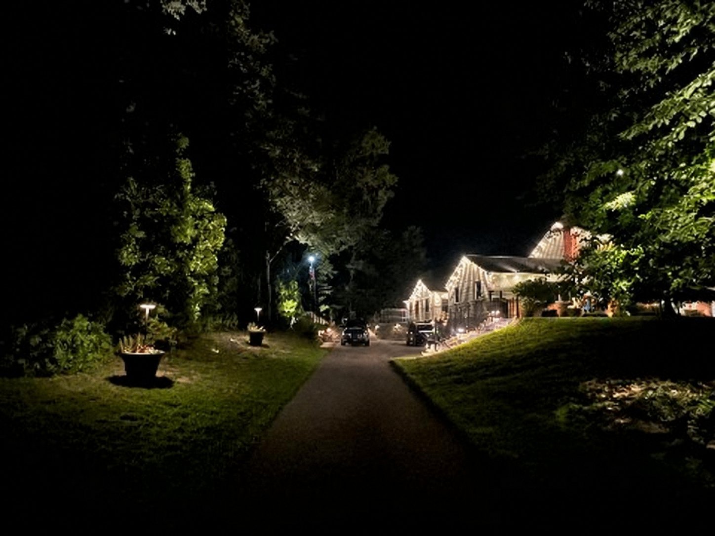 Landscape lighting design with tree and shrub accents