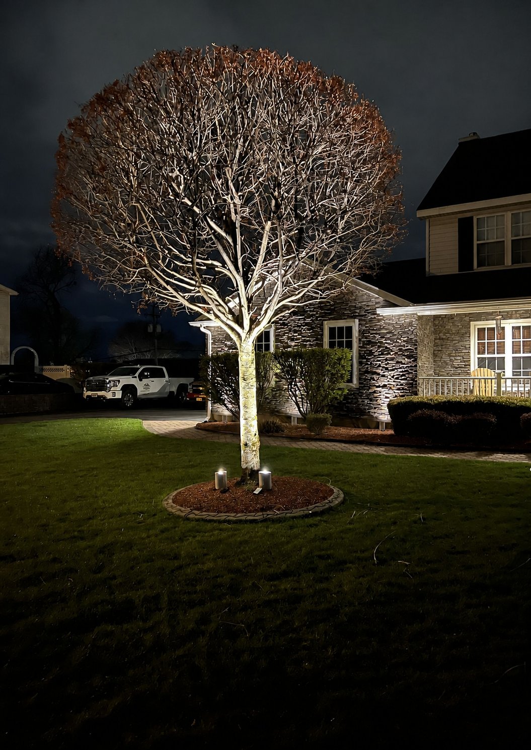 Uplighting, Tree & Architectural