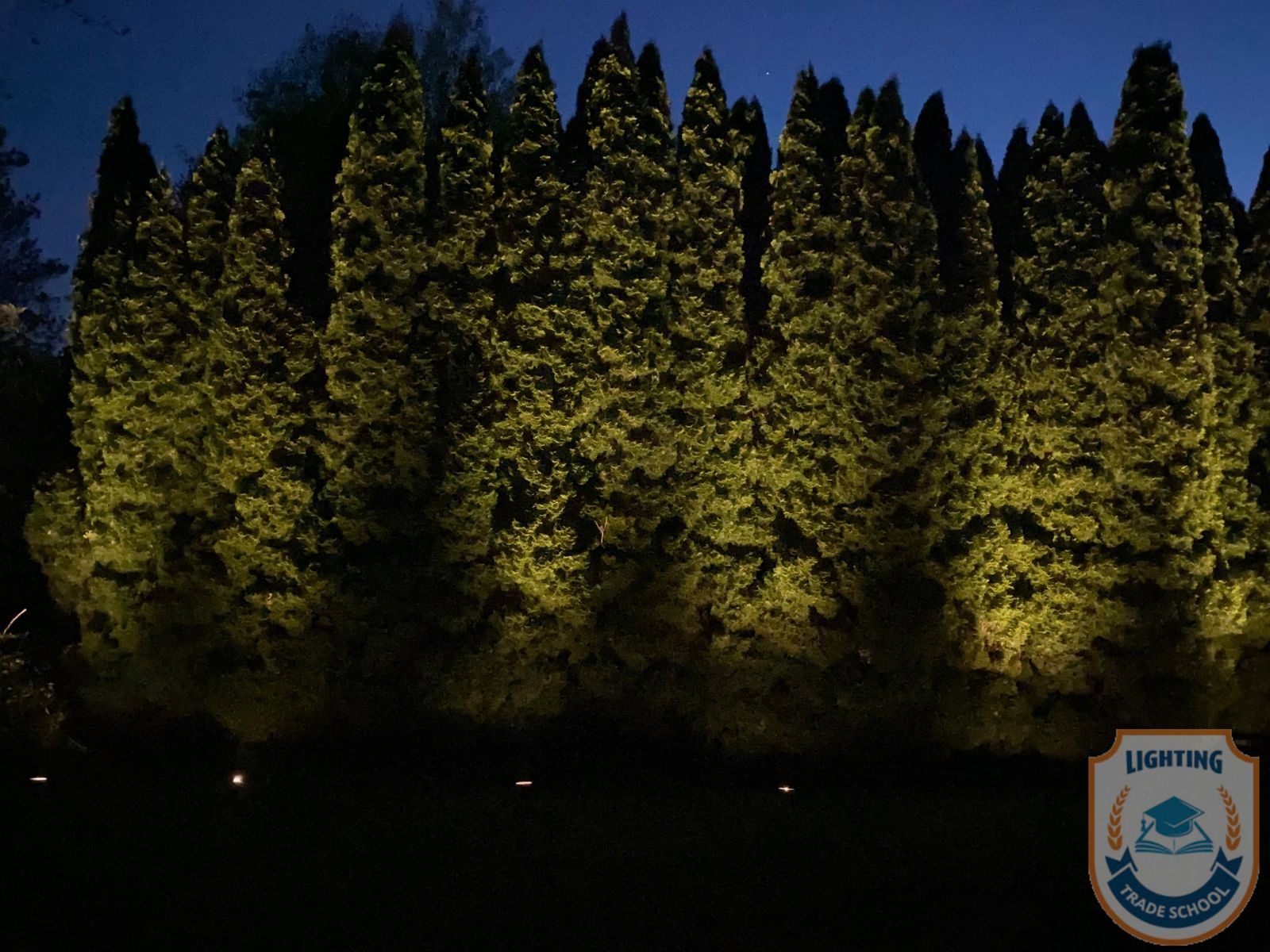 Professional outdoor lighting on a suburban property