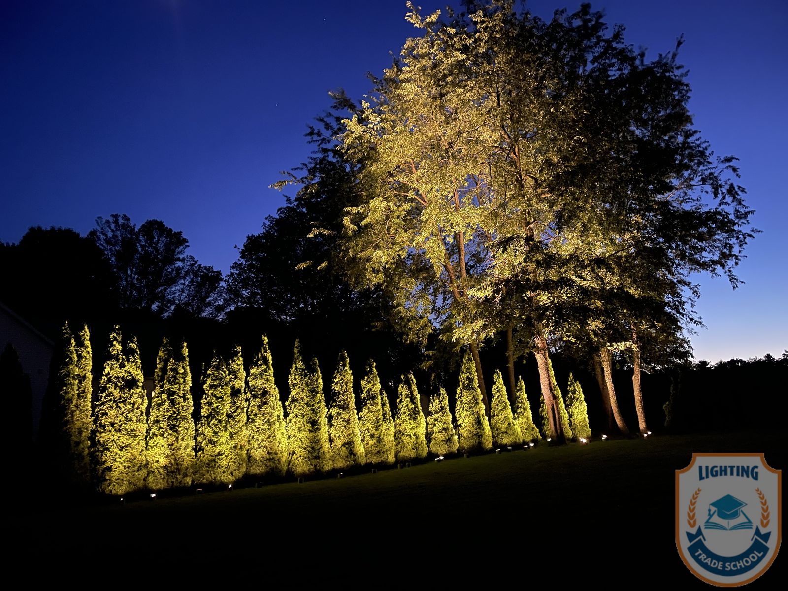 Accent lighting on a residential property at dusk