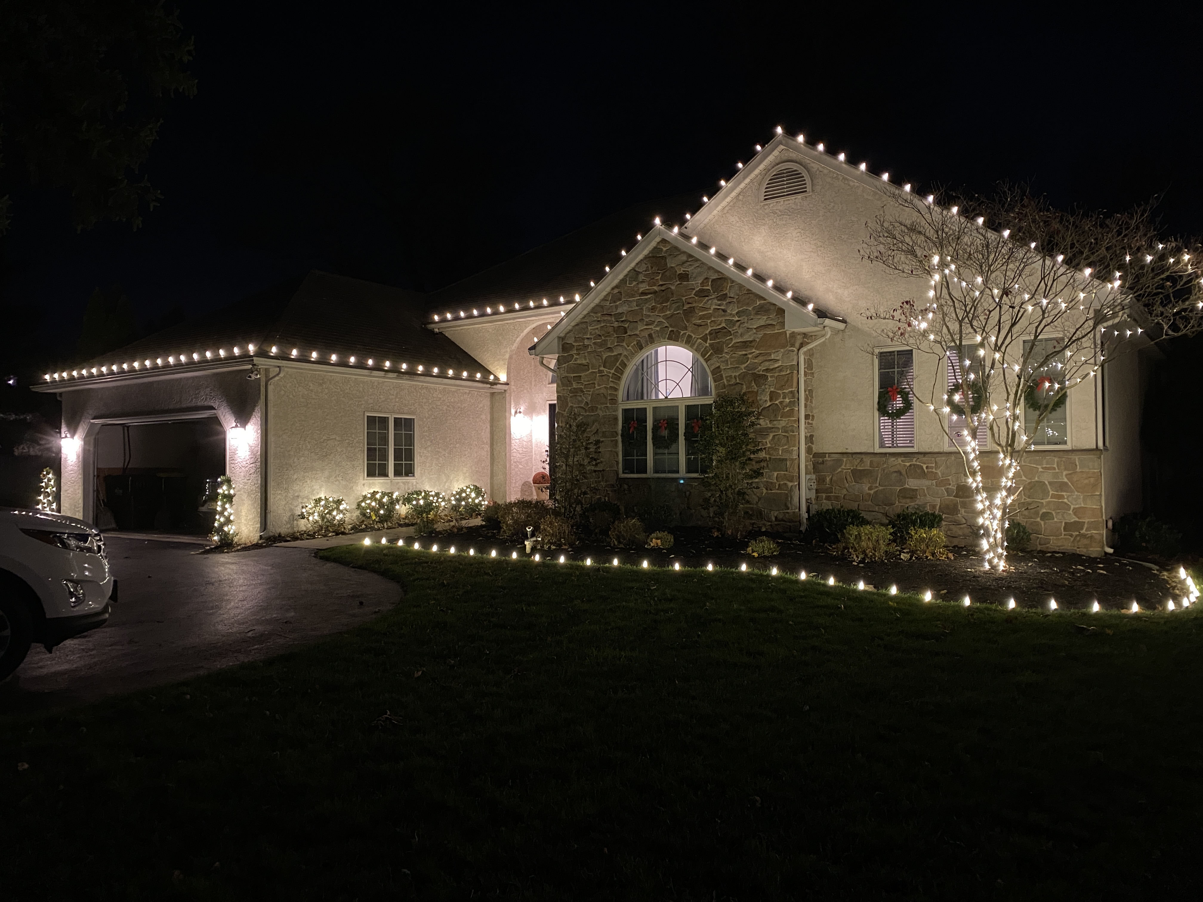 Warm-white Christmas roofline lighting, tree wrapping, and landscape accents at a Wayne home